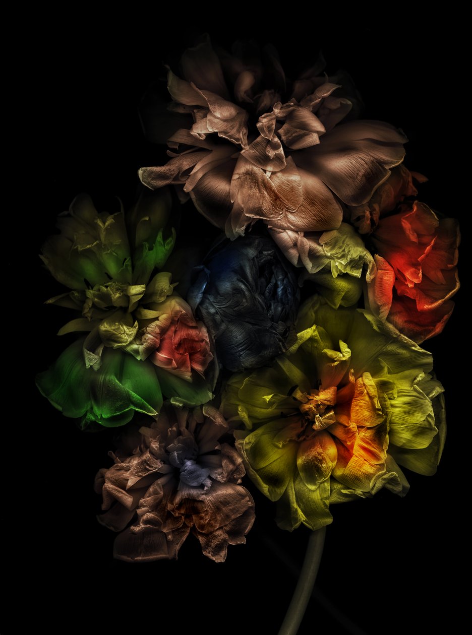  by Antonius Antonius