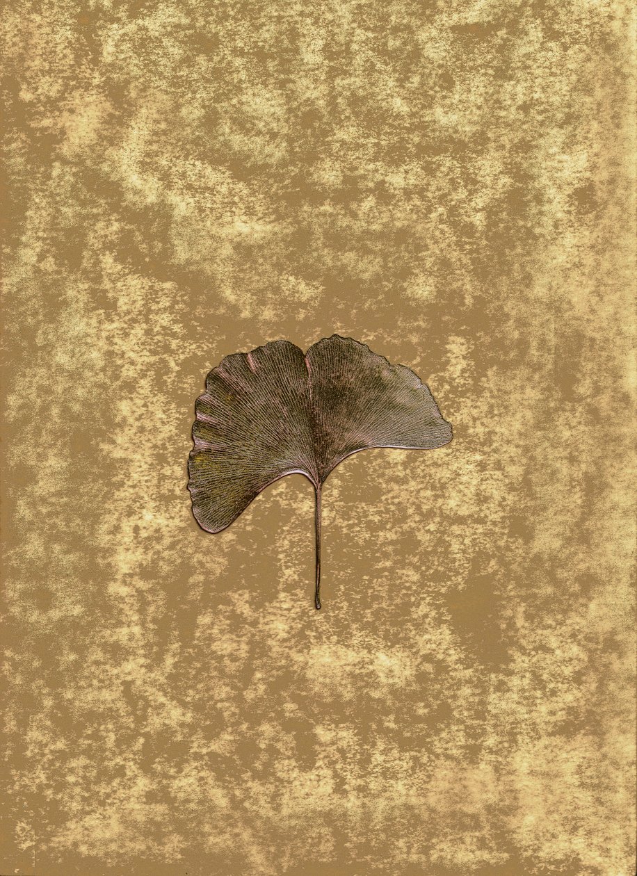  by Antonius Antonius