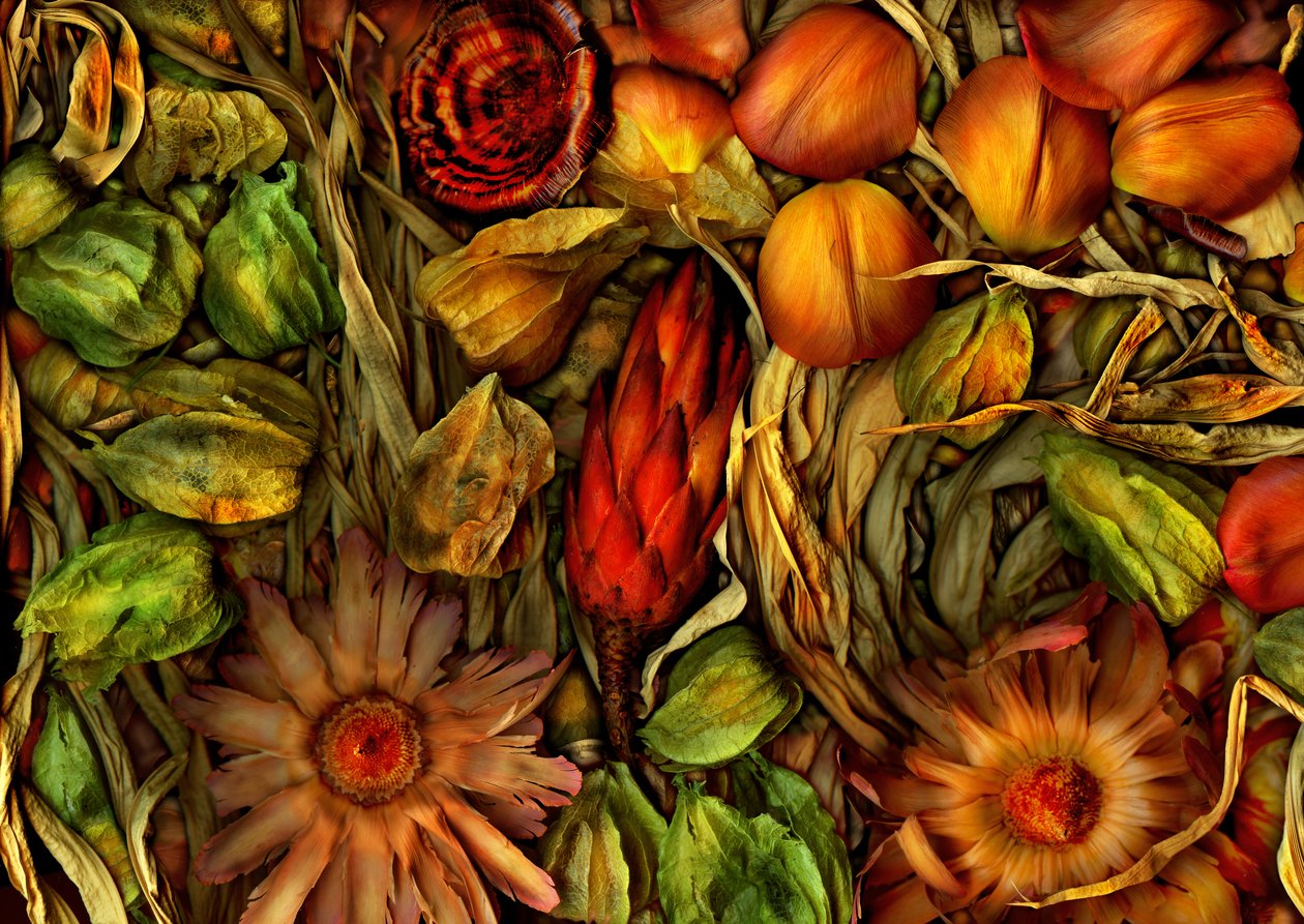  by Antonius Antonius