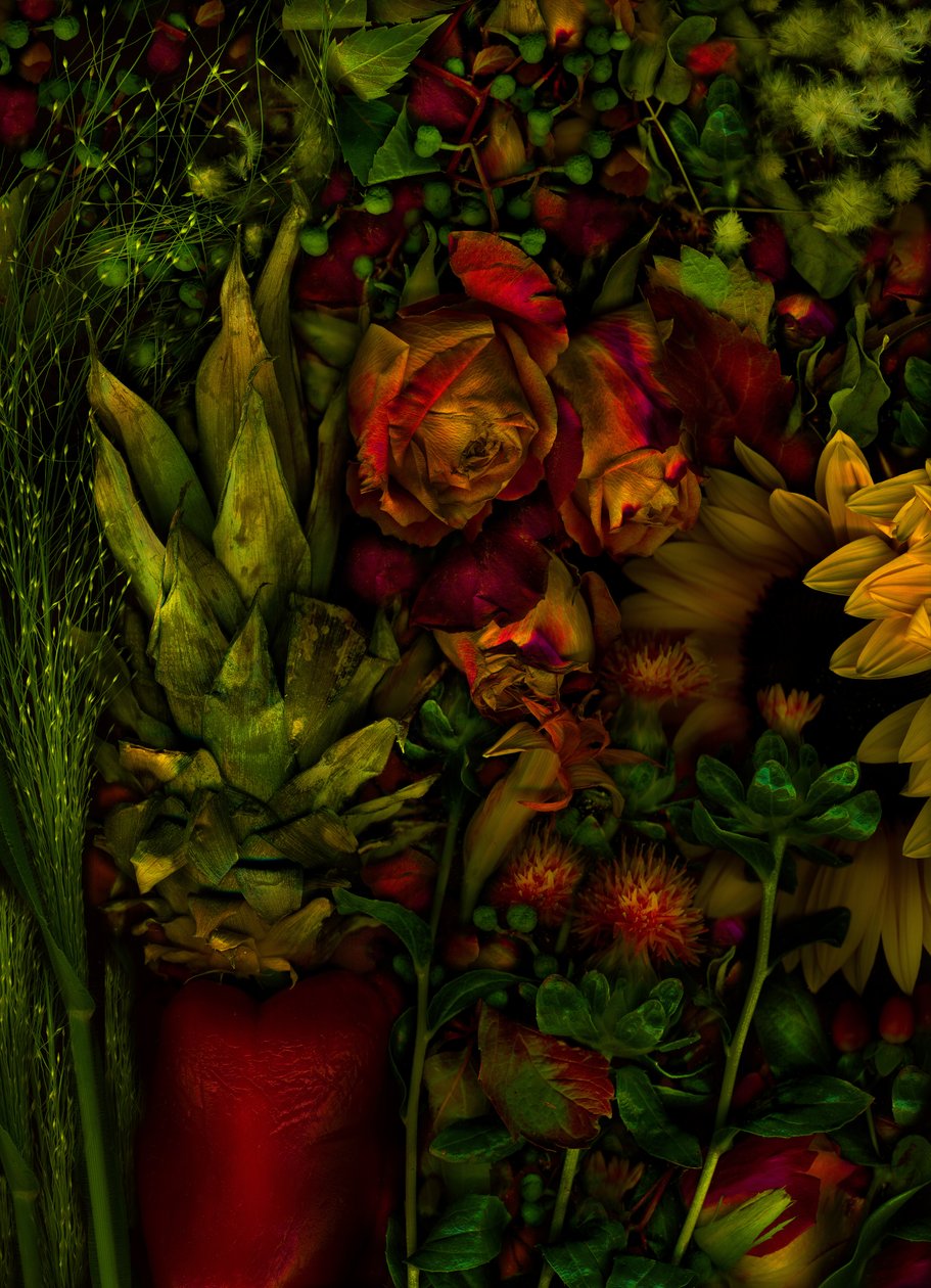 Sihirli bahçe no.26, 2011 (fotoğraf) by Antonius Antonius