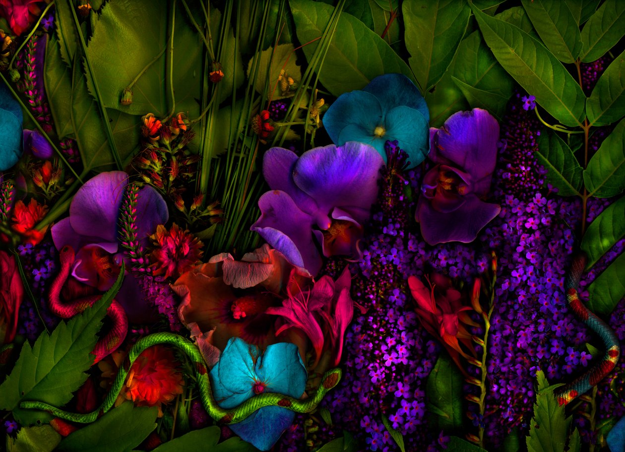  by Antonius Antonius