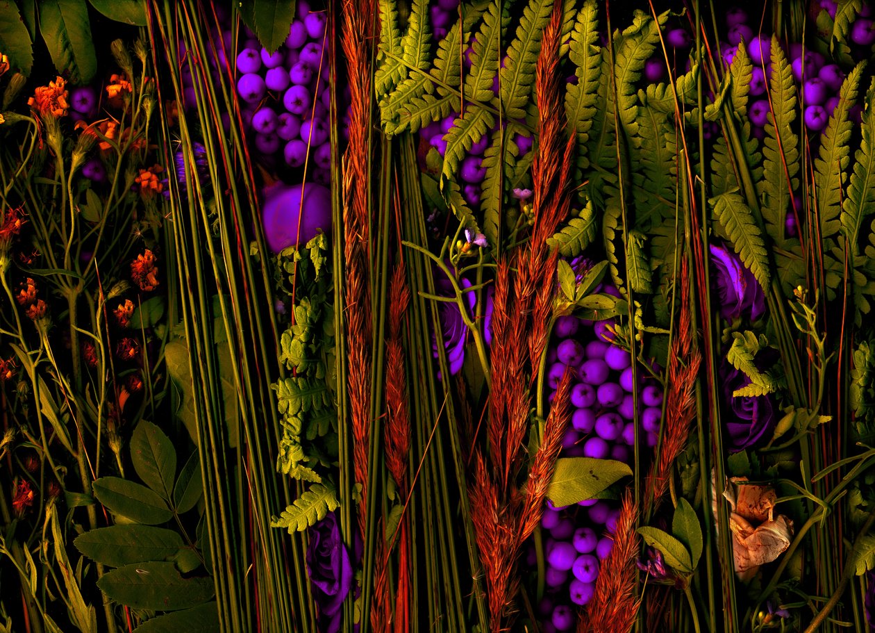  by Antonius Antonius