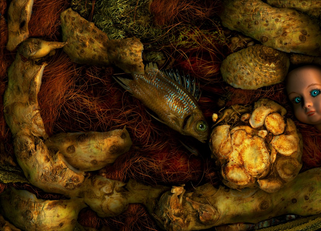  by Antonius Antonius