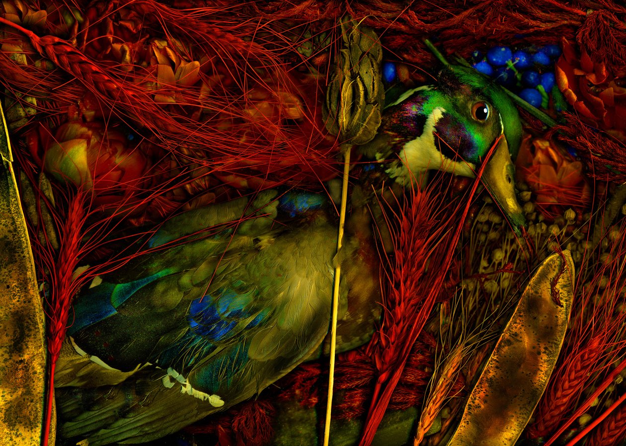  by Antonius Antonius