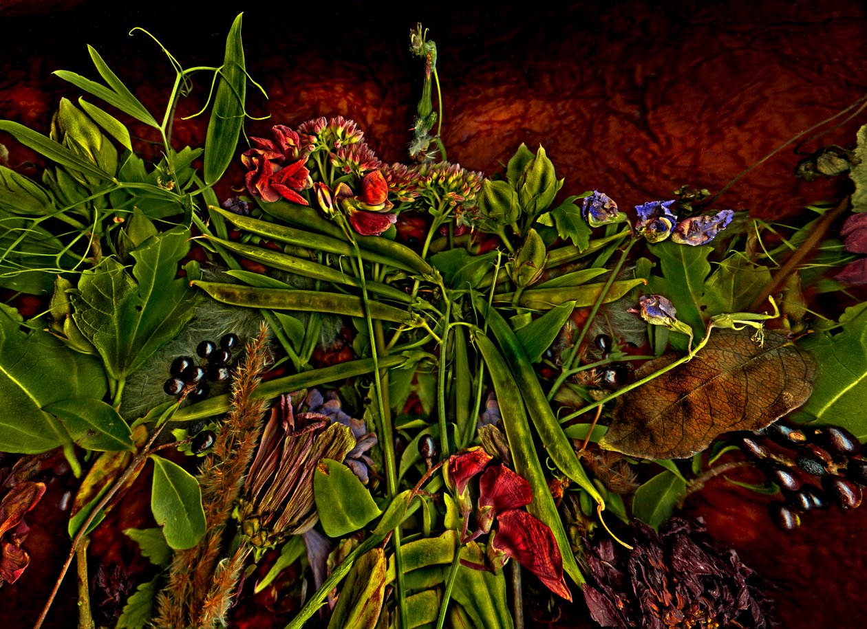  by Antonius Antonius