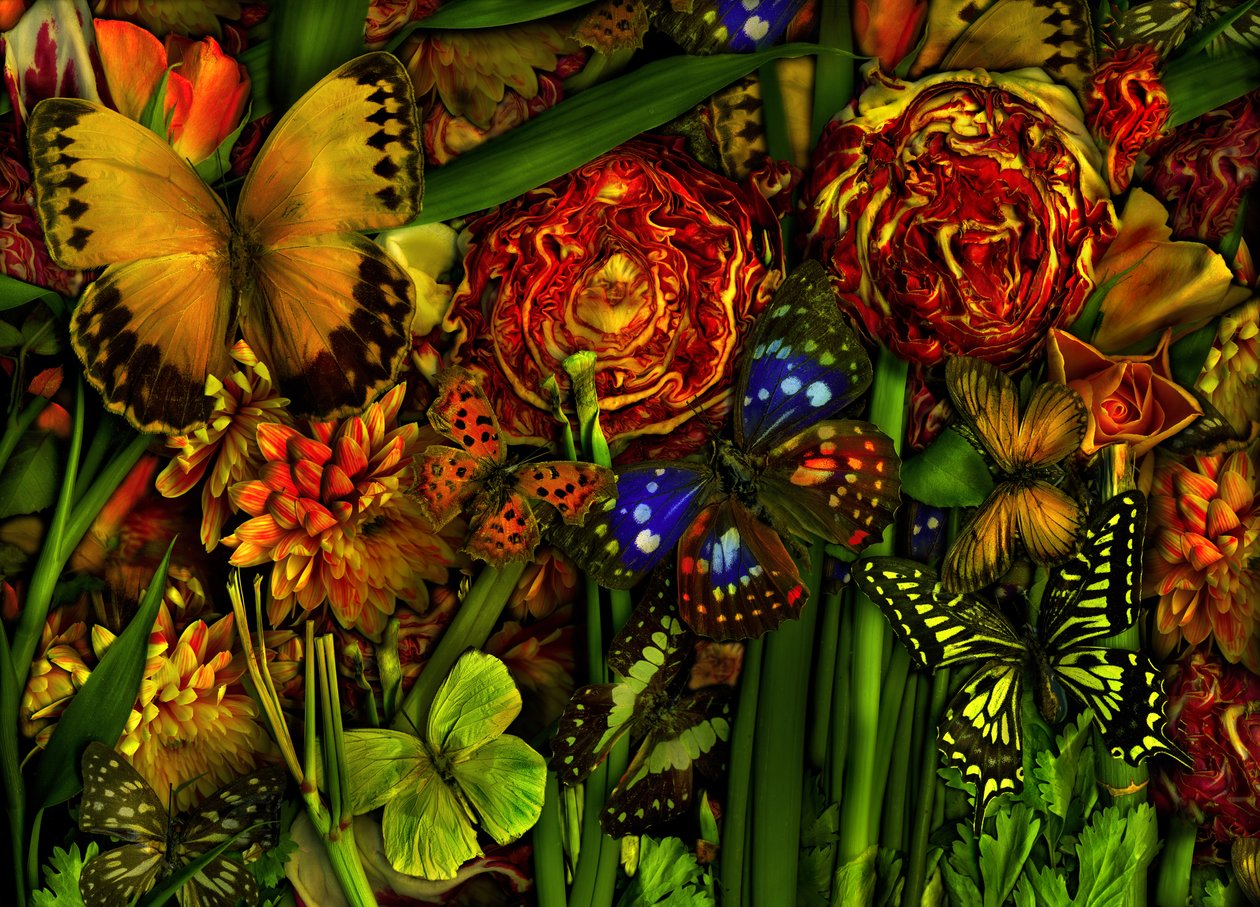  by Antonius Antonius