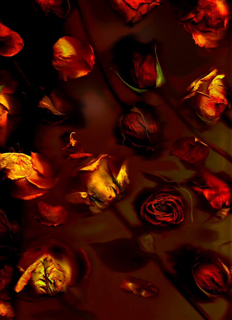  by Antonius Antonius