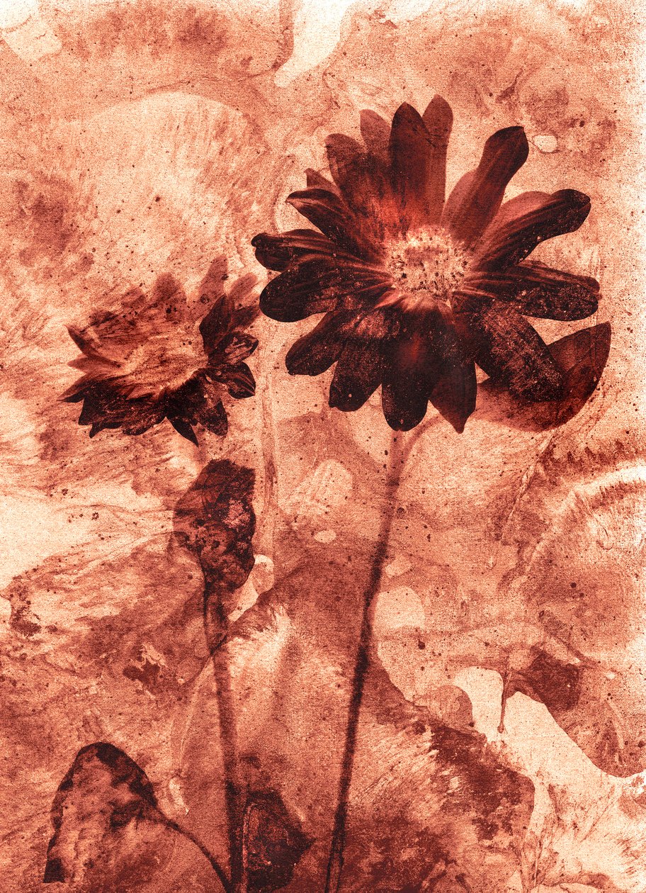  by Antonius Antonius