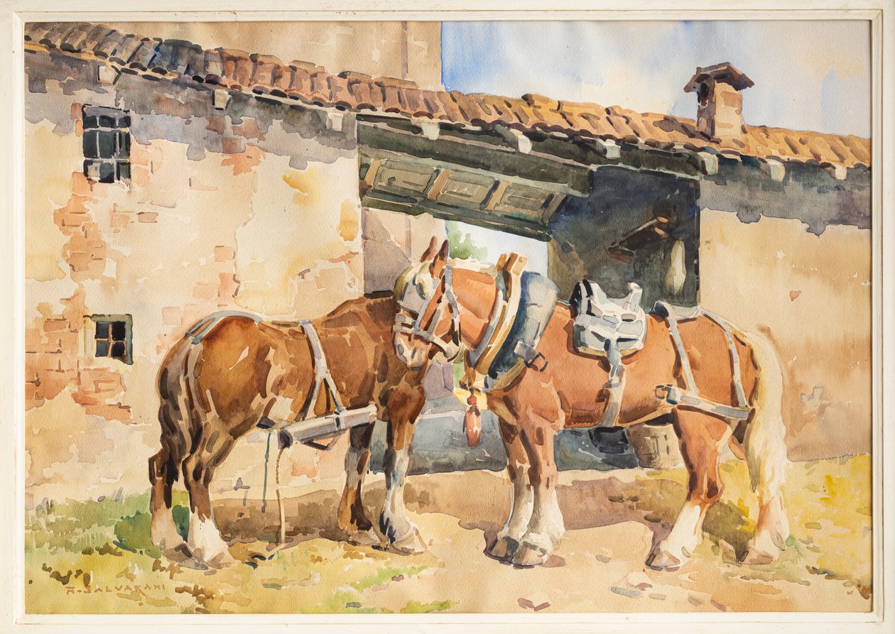  by Arcangelo Salvarani