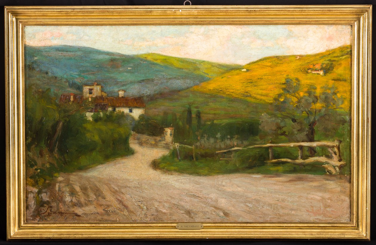  by Arcangelo Salvarani
