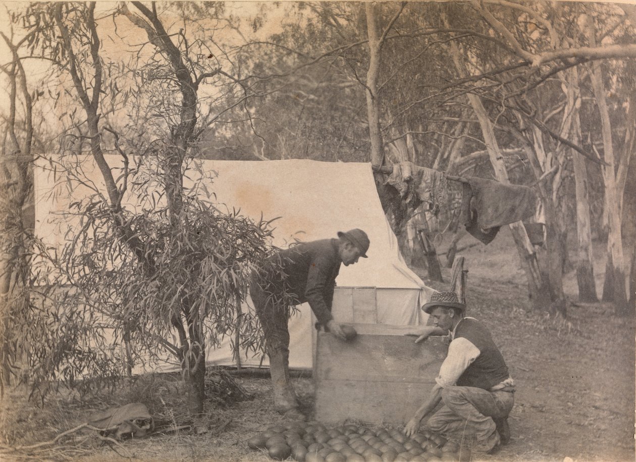 Bir Emu Eggers Kampı by Archibald James Campbell