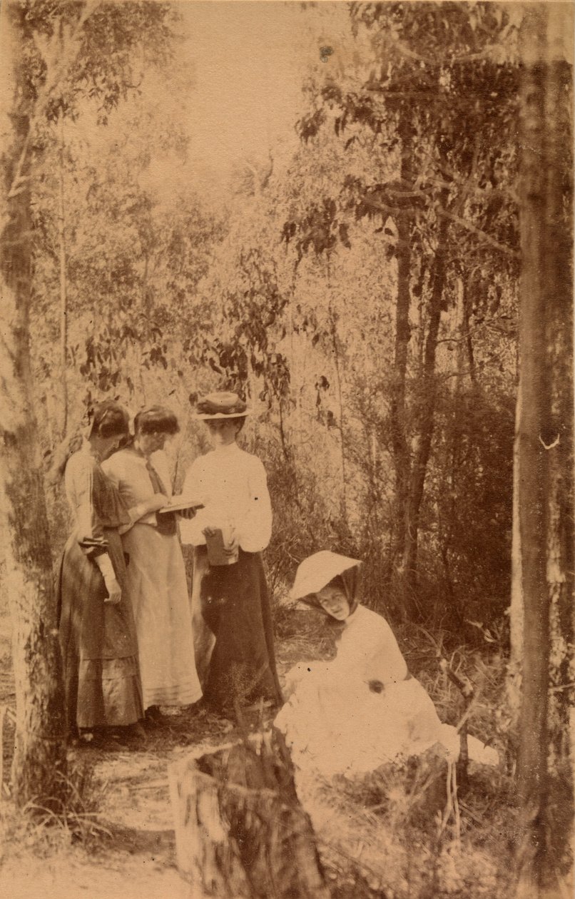 Başka Bir Kamp Fotoğrafı by Archibald James Campbell