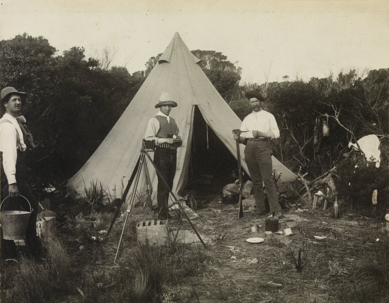 Kamp Manzarası, Field Naturalists