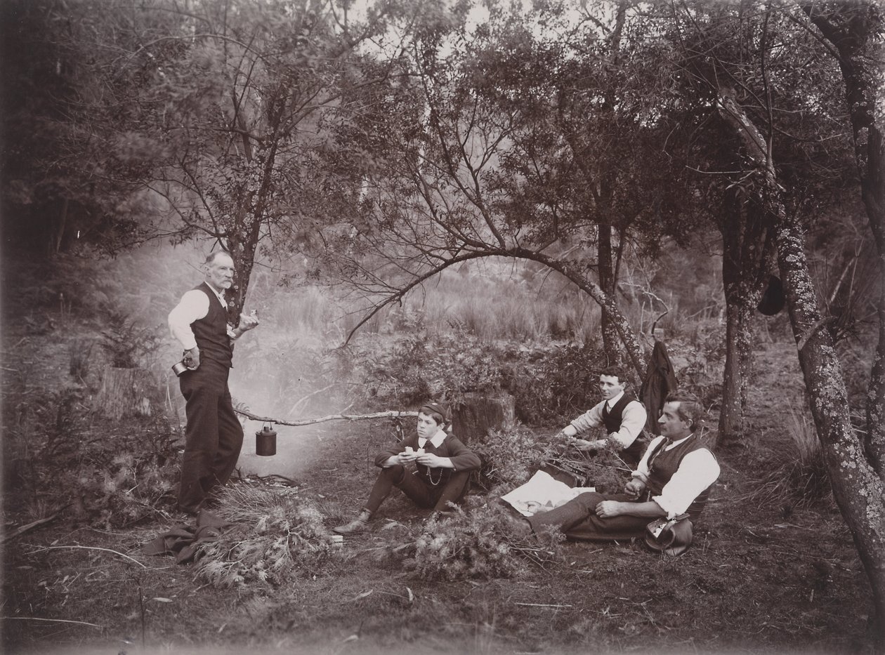 Wattle Toplama by Archibald James Campbell