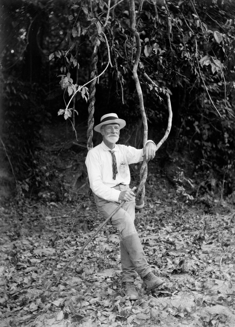 Archibald James Campbell