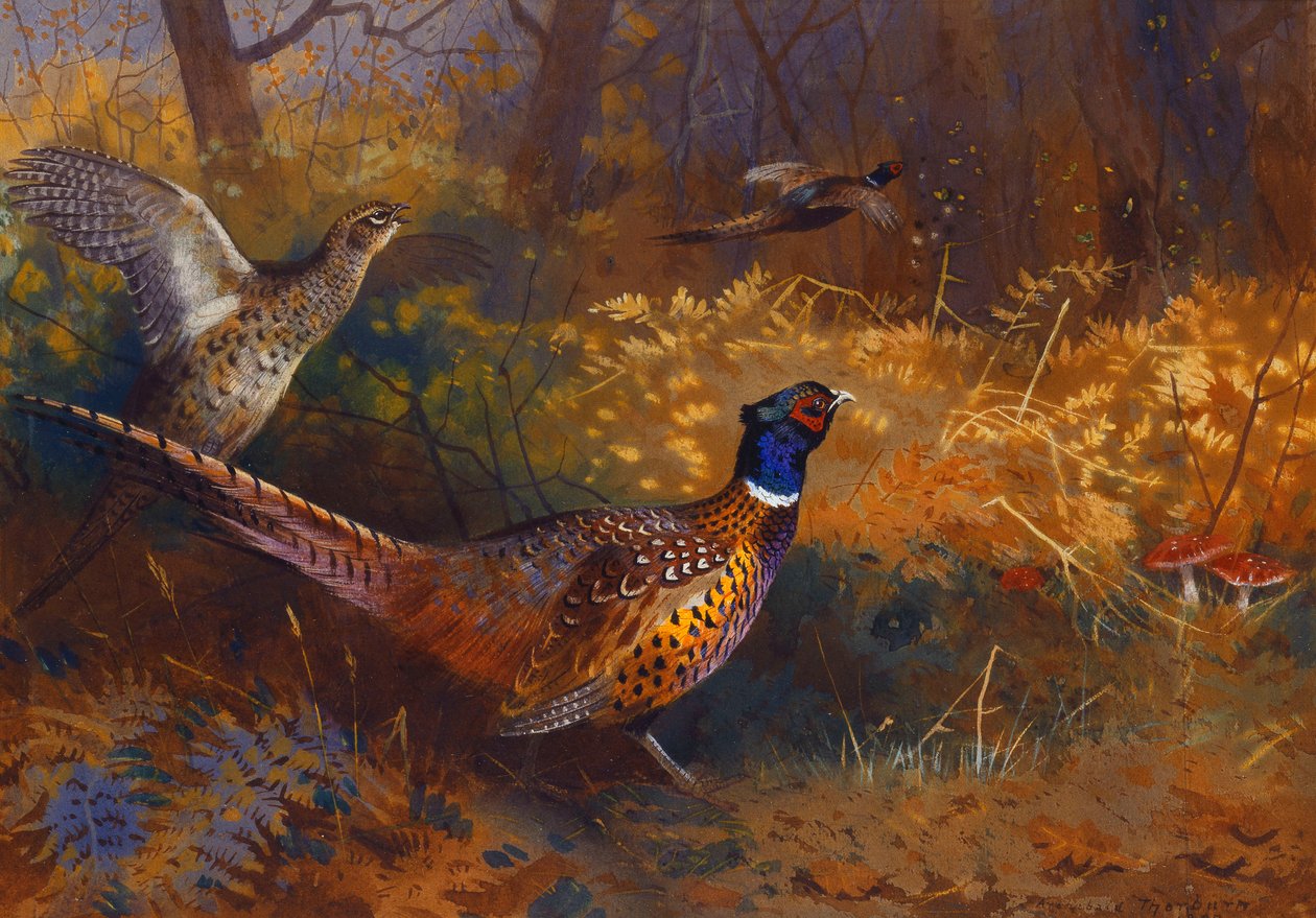 Bir Ormanın Kenarında Bir Horoz ve Tavuk Sülün by Archibald Thorburn