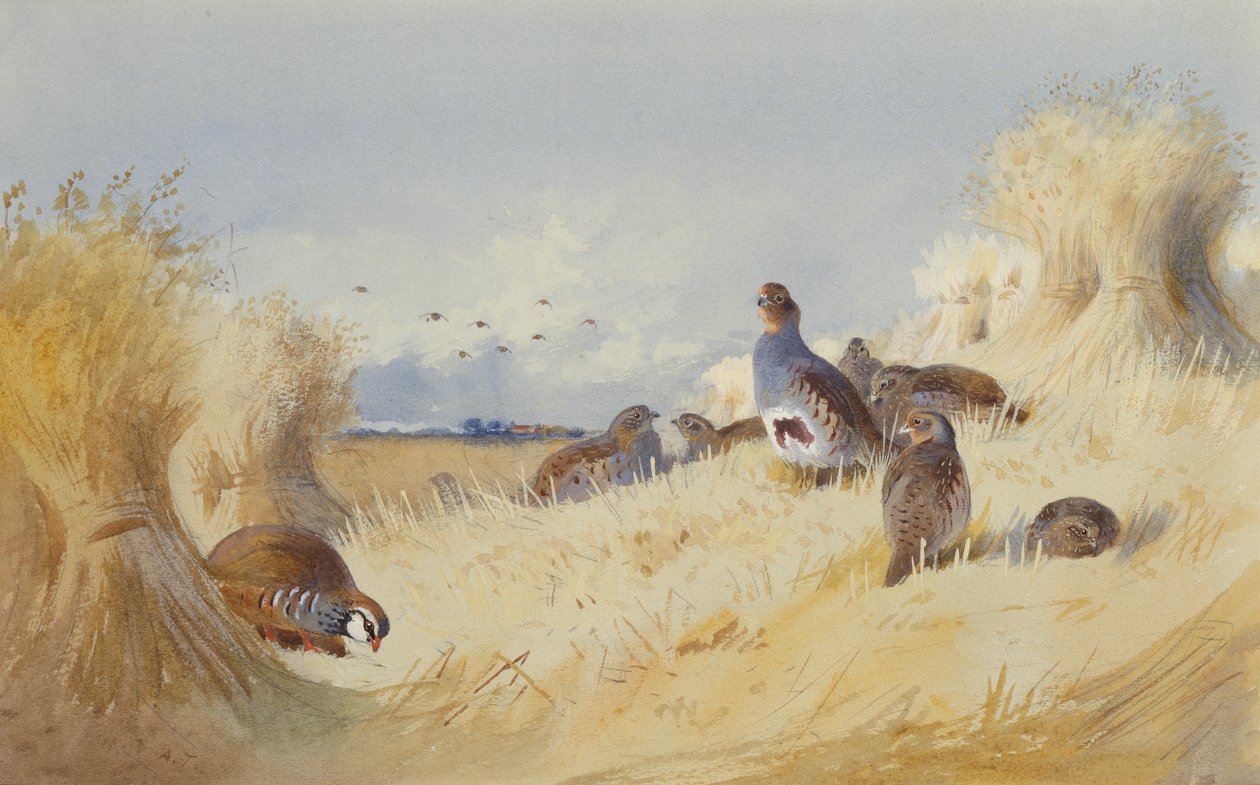 Corn Stooks