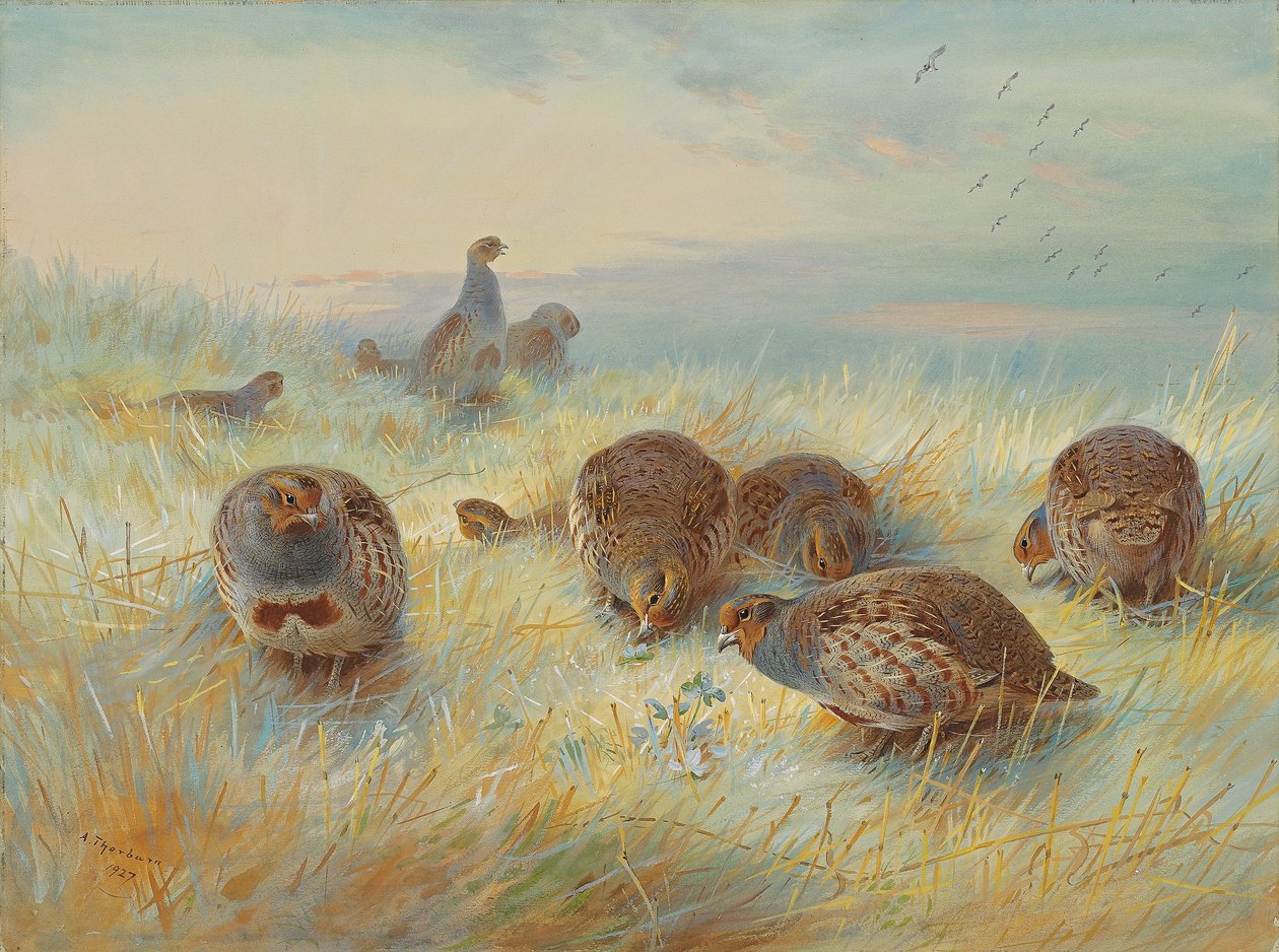 Soğuk bir şafak by Archibald Thorburn
