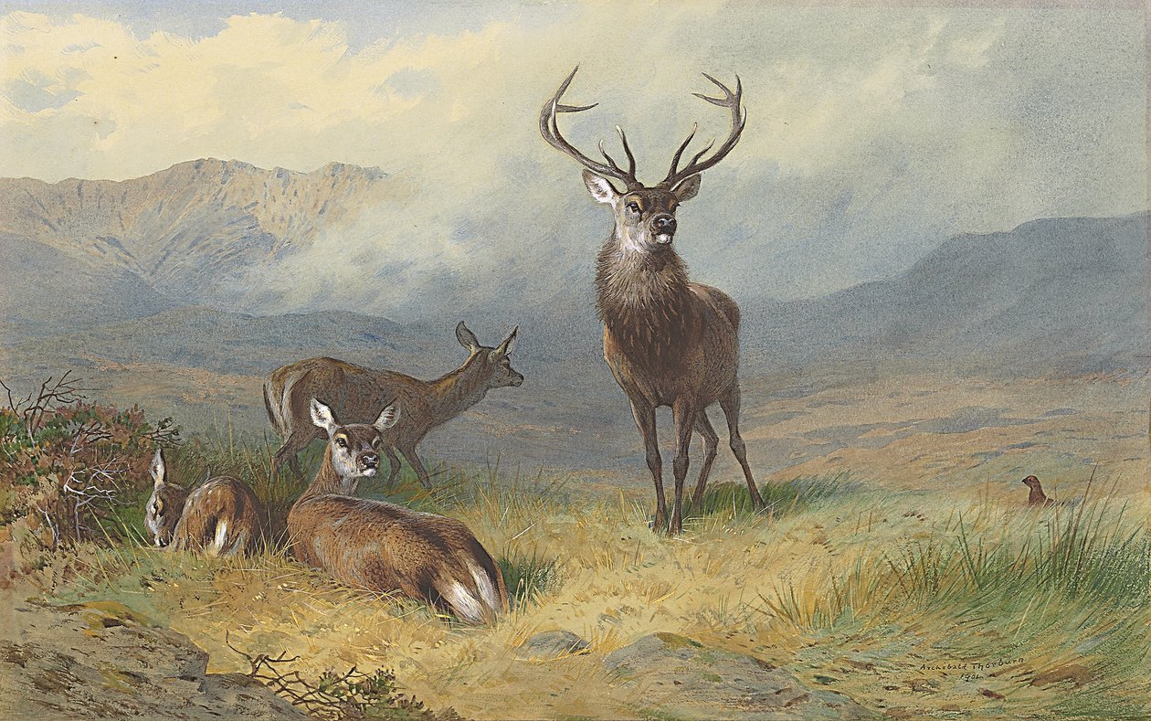 Glen Hükümdarı by Archibald Thorburn