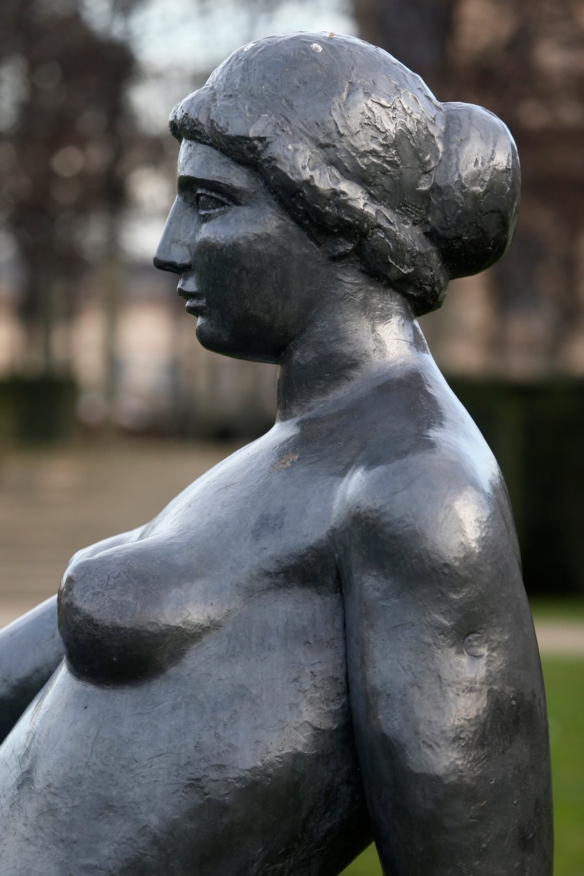 Jardin des tuileries, Aristide Maillol, Yatan genç kız, bronz 1921, Detay, Paris, Fransa (fotoğraf) by Aristide Maillol