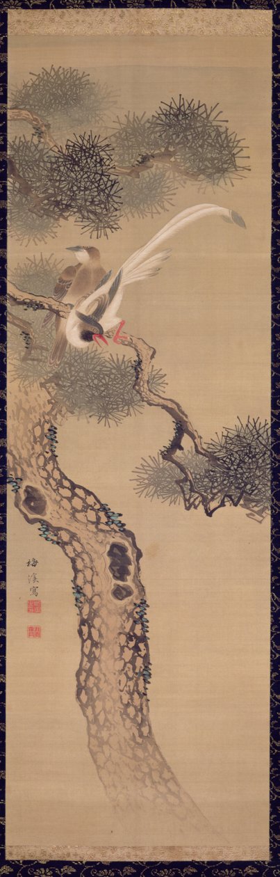 Çam ağacında uzun kuyruklu kuşlar, c.1800 (ipek üzerine mürekkep ve renkler) by Ariwara Baikei