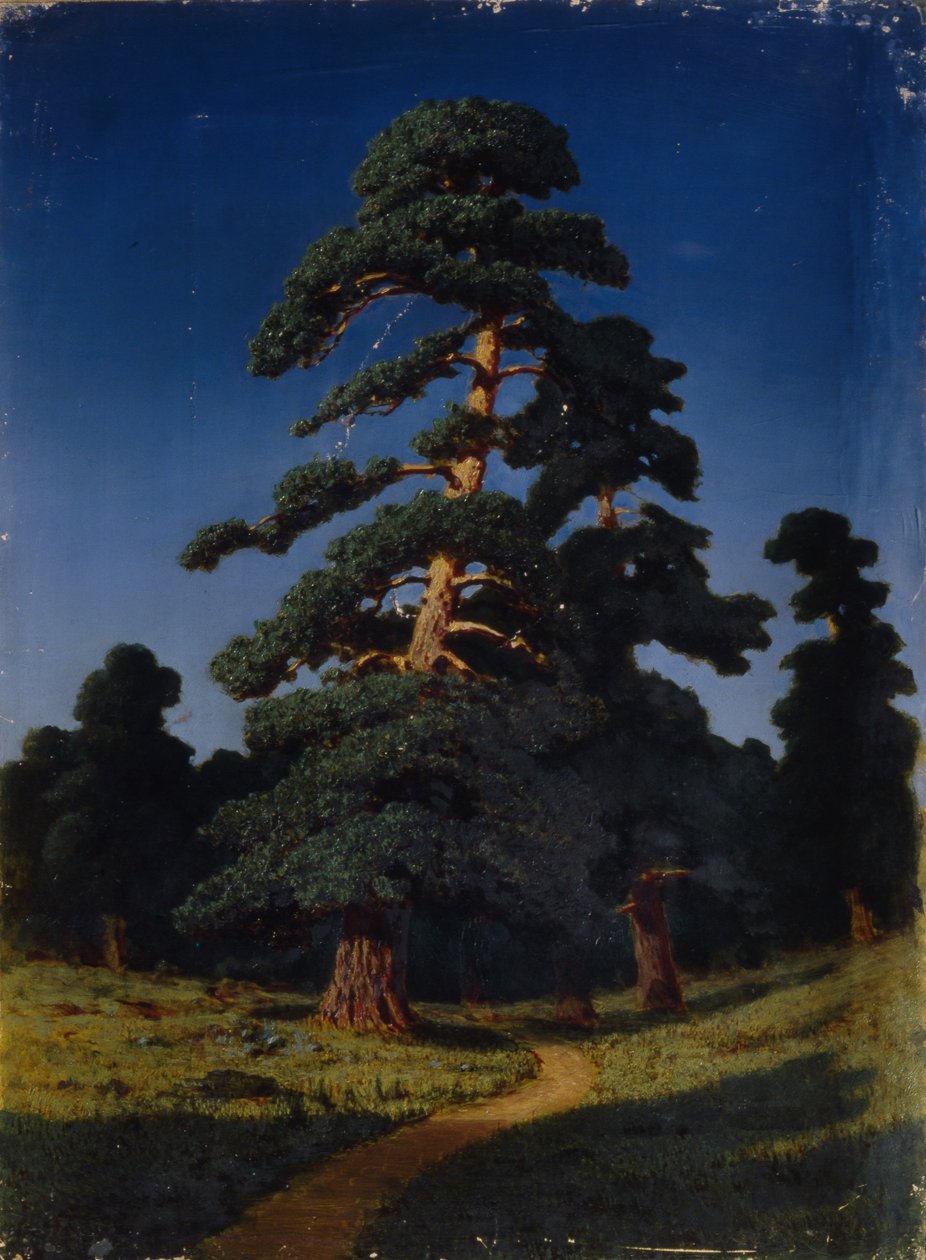 Çam ağacı by Arkhip Ivanovich Kuindzhi