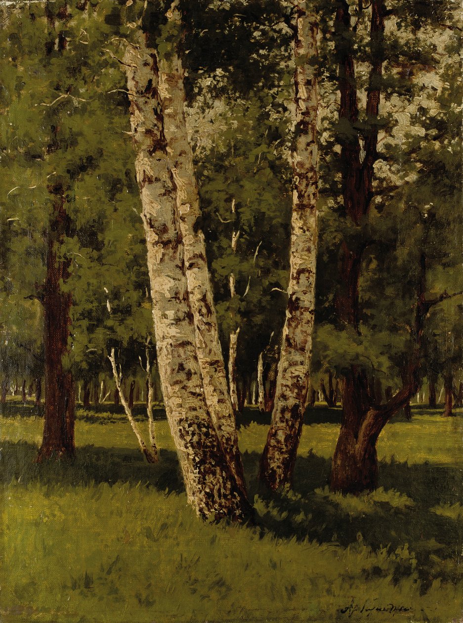 huş ağaçları by Arkip Ivanovic Kuindzi