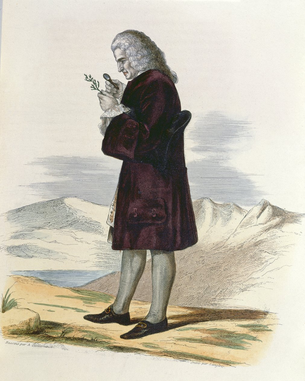 Bernard de Jussieu (1699-1777) c.1820 by Armand Guilleminot