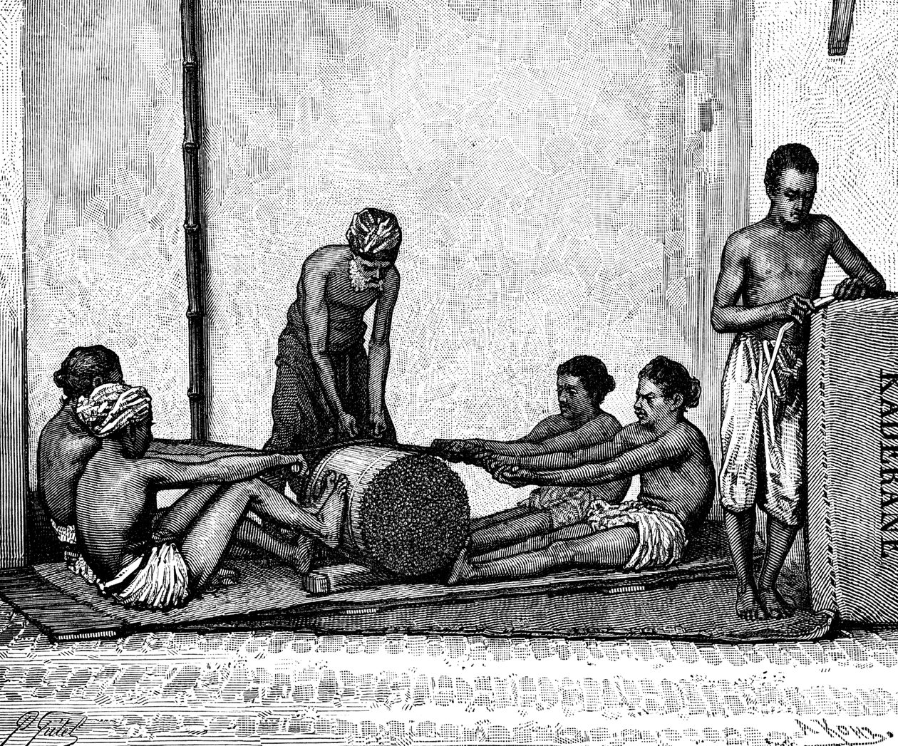 Tarçın paketleme, Hindistan, 1895. by Armand Kohl