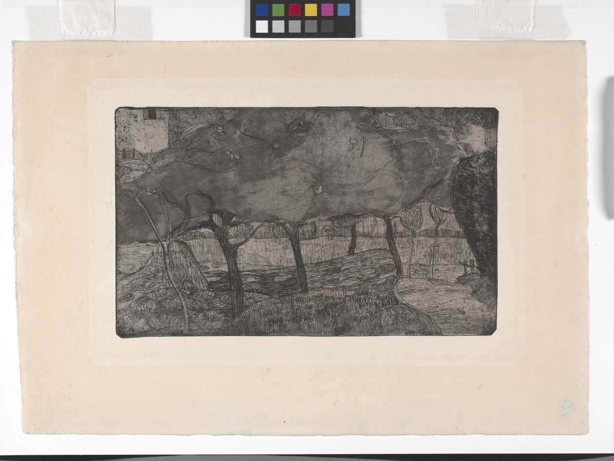 Les Pommiers (Elma Ağaçları) (dağlama, aquatint ve kuru nokta) by Armand Séguin