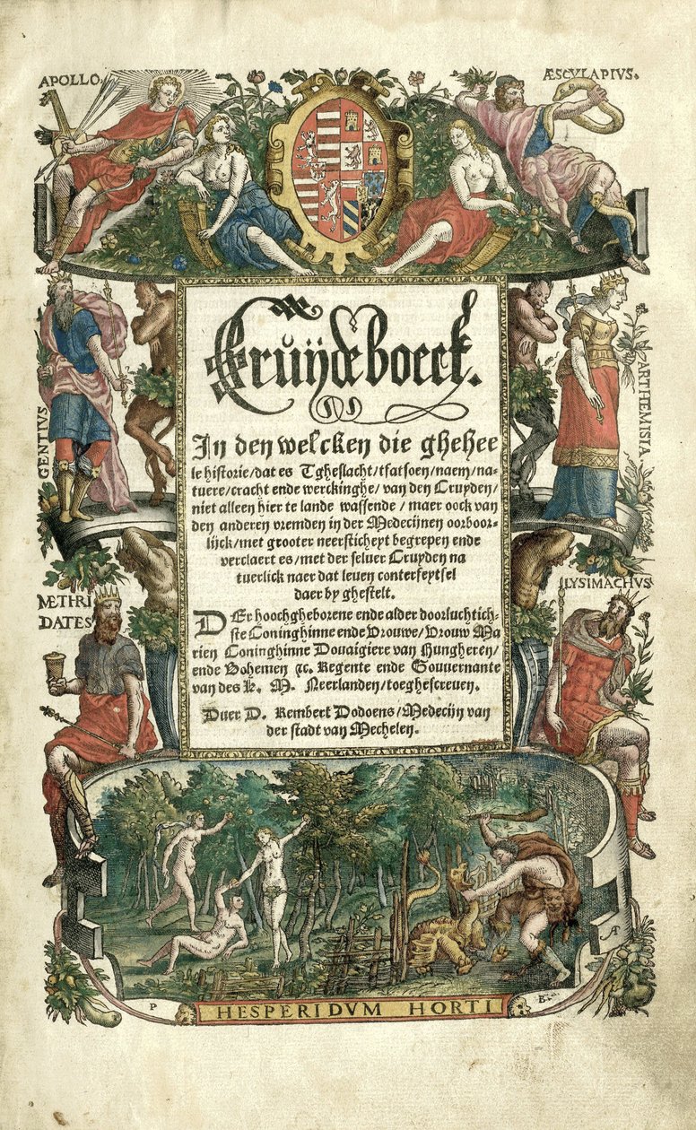Bitkilerin performanslarıyla Dodoens Cruijdeboeck by Arnaud Nicolaï