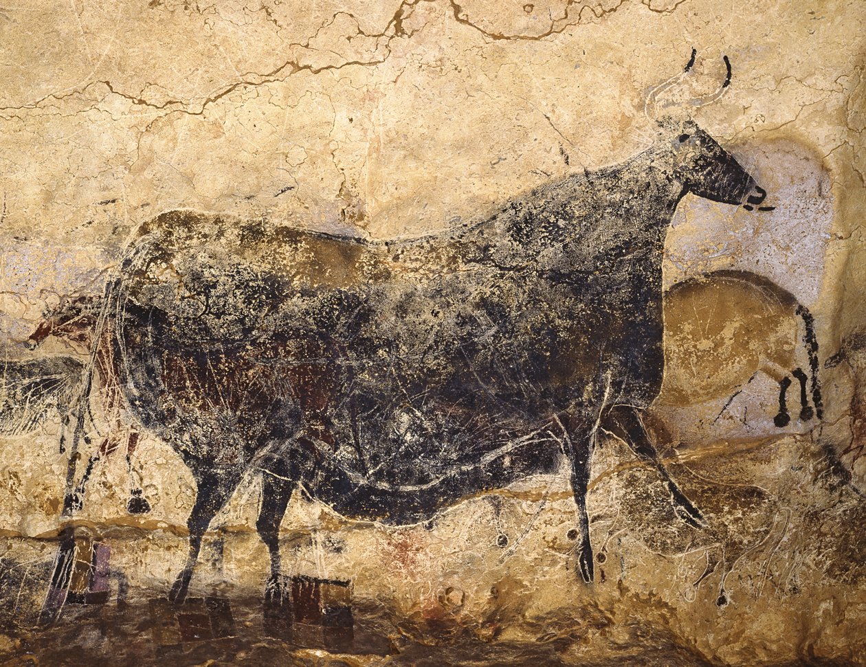 Kara İnek. MÖ 16.000-15.000 civarında Lascaux