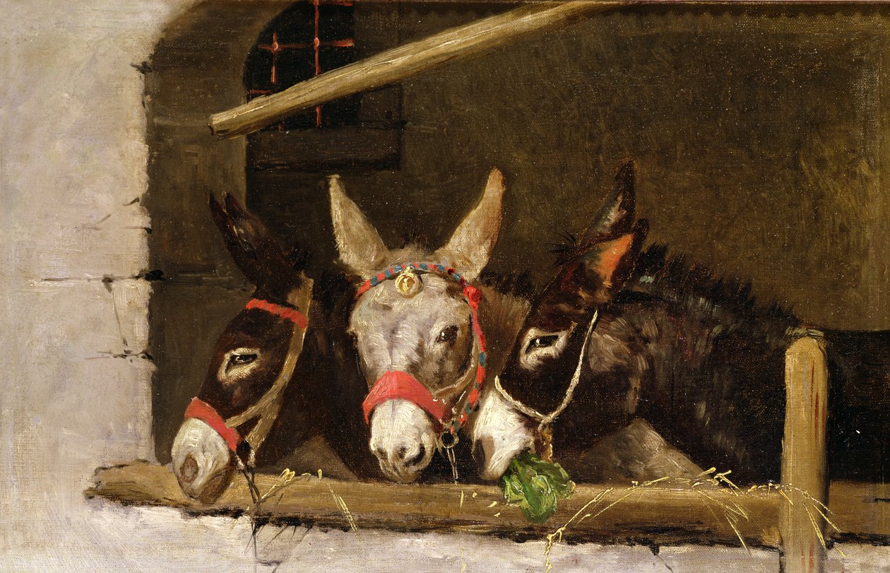 Eşek Besleme by Arthur Batt