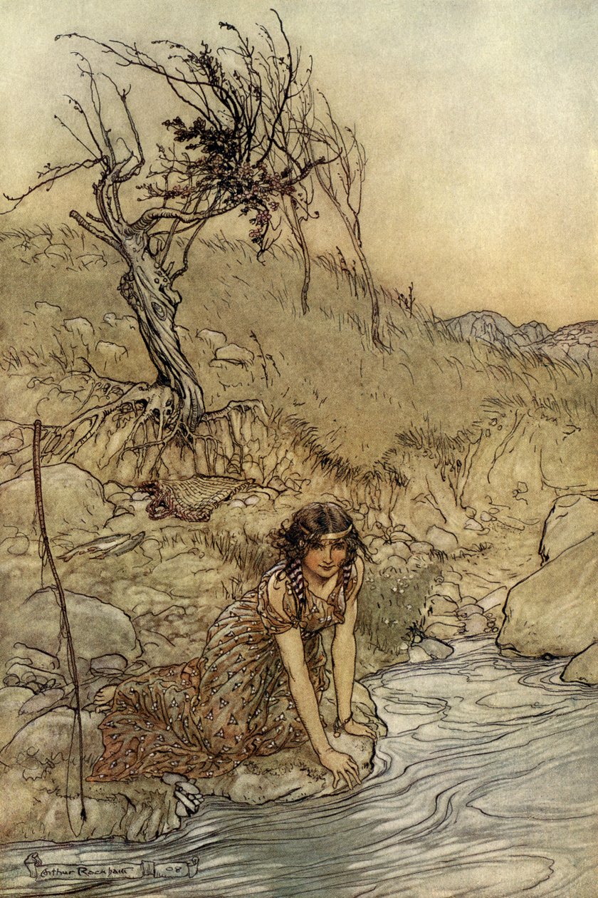 A Midsummer Nights Dream by Arthur Rackham