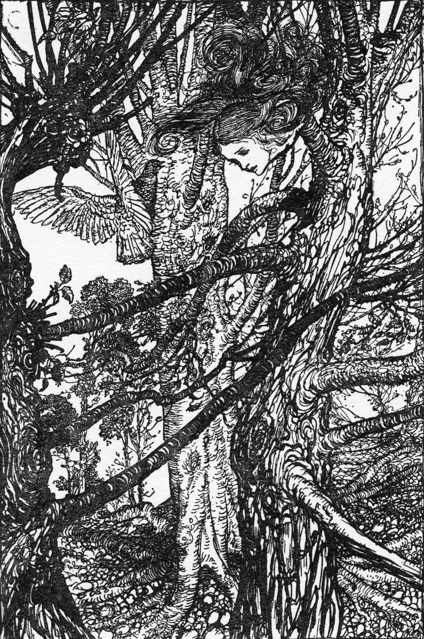 Alice s Adventures in Wonderland by Lewis Carroll by Arthur Rackham