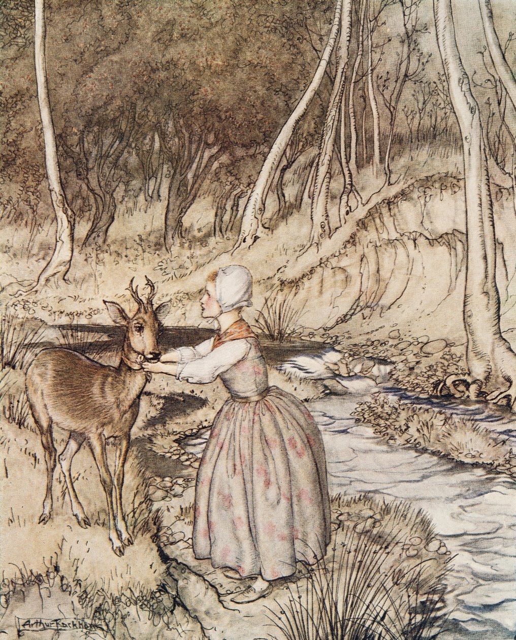 Little Brother and Little Sister, from Little Brother & Little Sister and Other Tales by the Brothers Grimm, pub.1917  by Arthur Rackham