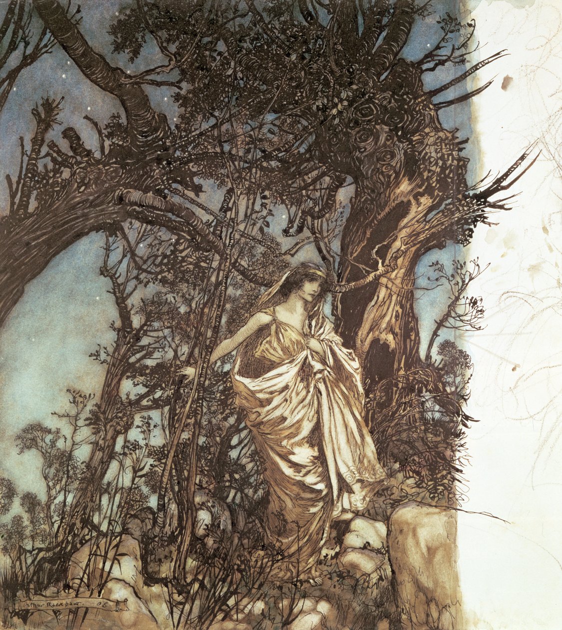"Bir Yaz Gecesi Rüyası"nın illüstrasyonu, 1908 by Arthur Rackham