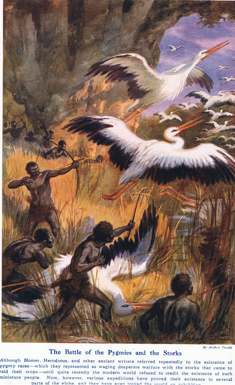 Pigmeler ve Leyleklerin Savaşı, Cassell tarafından yayınlanan 'Kara ve Deniz Harikaları'ndan bir örnek, Londra, 1914 by Arthur Twidle