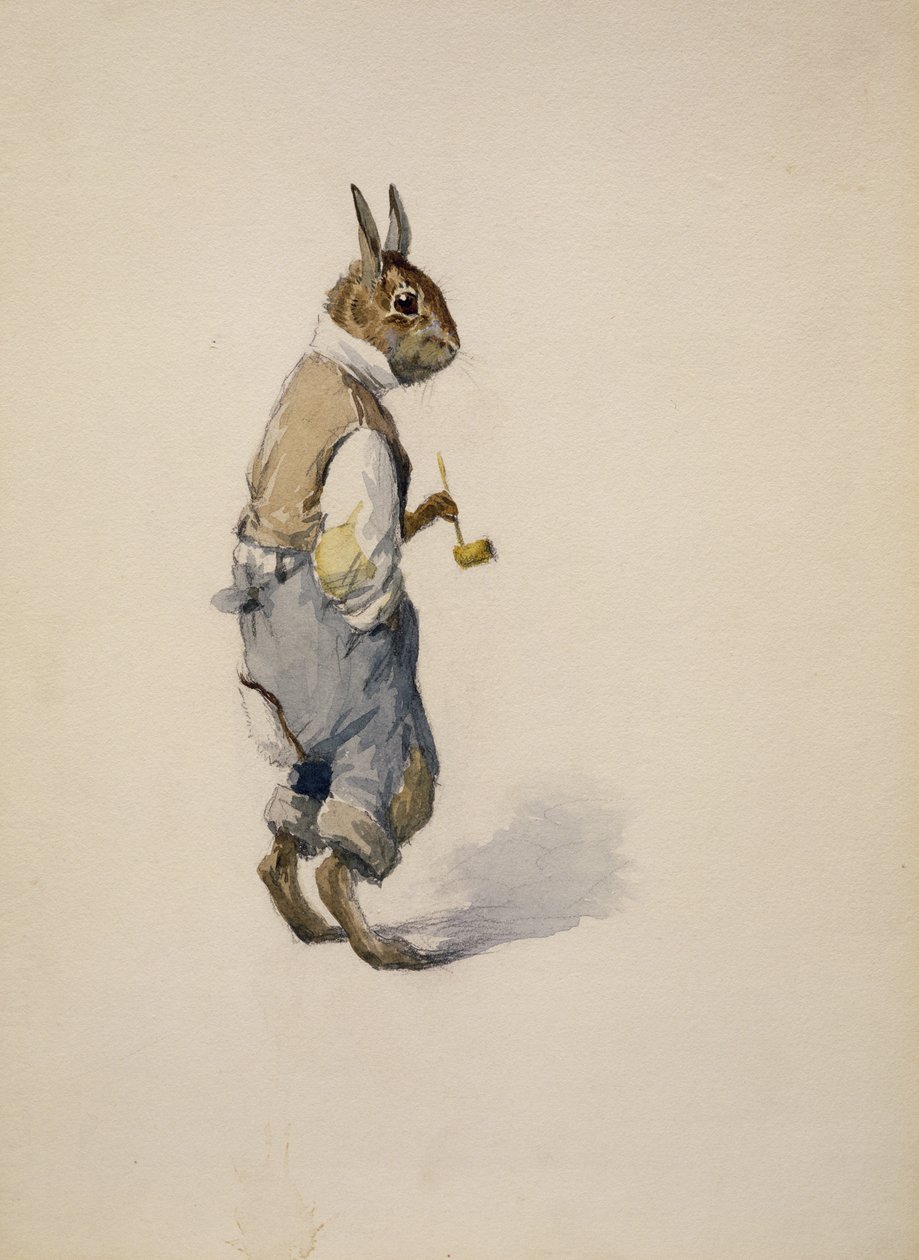 Br "er Tavşan, 1881-1928 by Arthur Burdett Frost