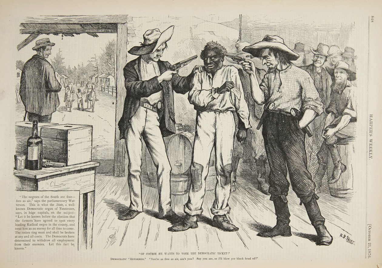 Elbette Demokratik Bilete Oy Vermek İstiyor, 1876 by Arthur Burdett Frost