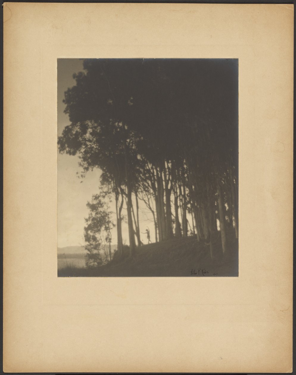  by Arthur F. Kales