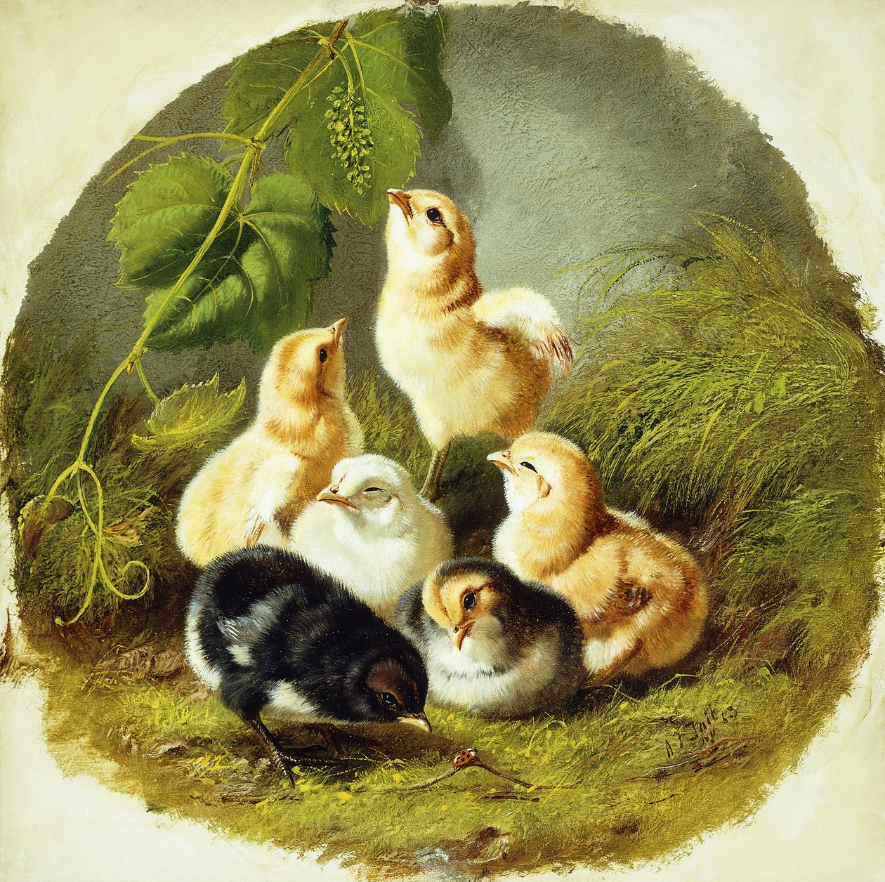 civcivler, 1863 by Arthur Fitzwilliam Tait