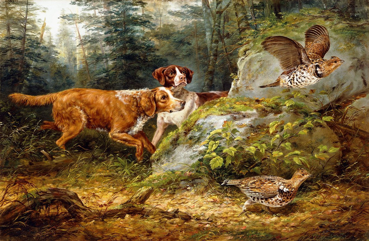 Flushed: Ruffed Grouse Shooting, 1857 by Arthur Fitzwilliam Tait