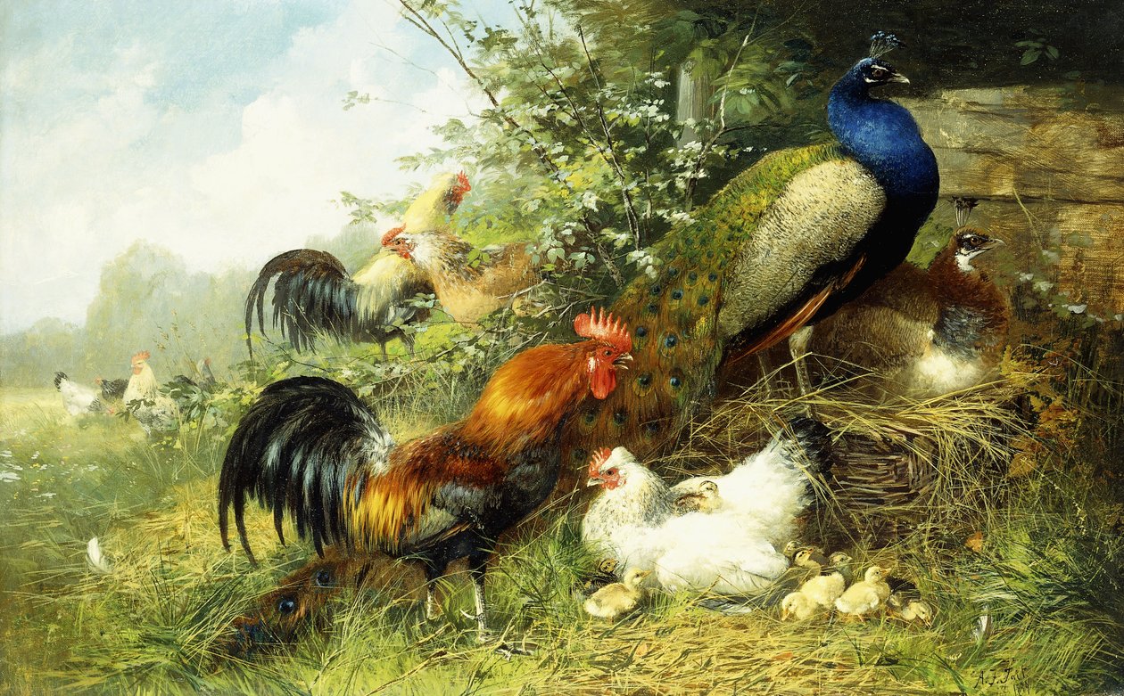Tavuk ve Tavus Kuşları, 1899 by Arthur Fitzwilliam Tait
