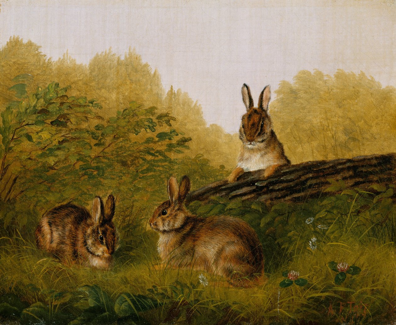 Kütükteki Tavşanlar, 1897. by Arthur Fitzwilliam Tait