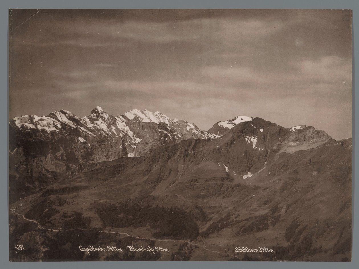 Bernese Alpleri