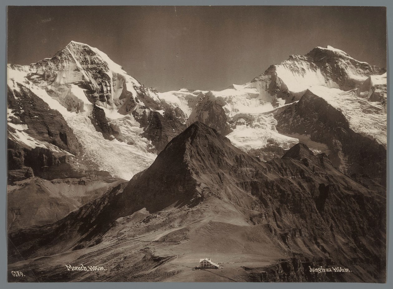 Bernese Alpleri