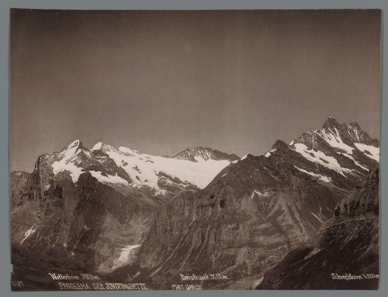 Bernese Alpleri