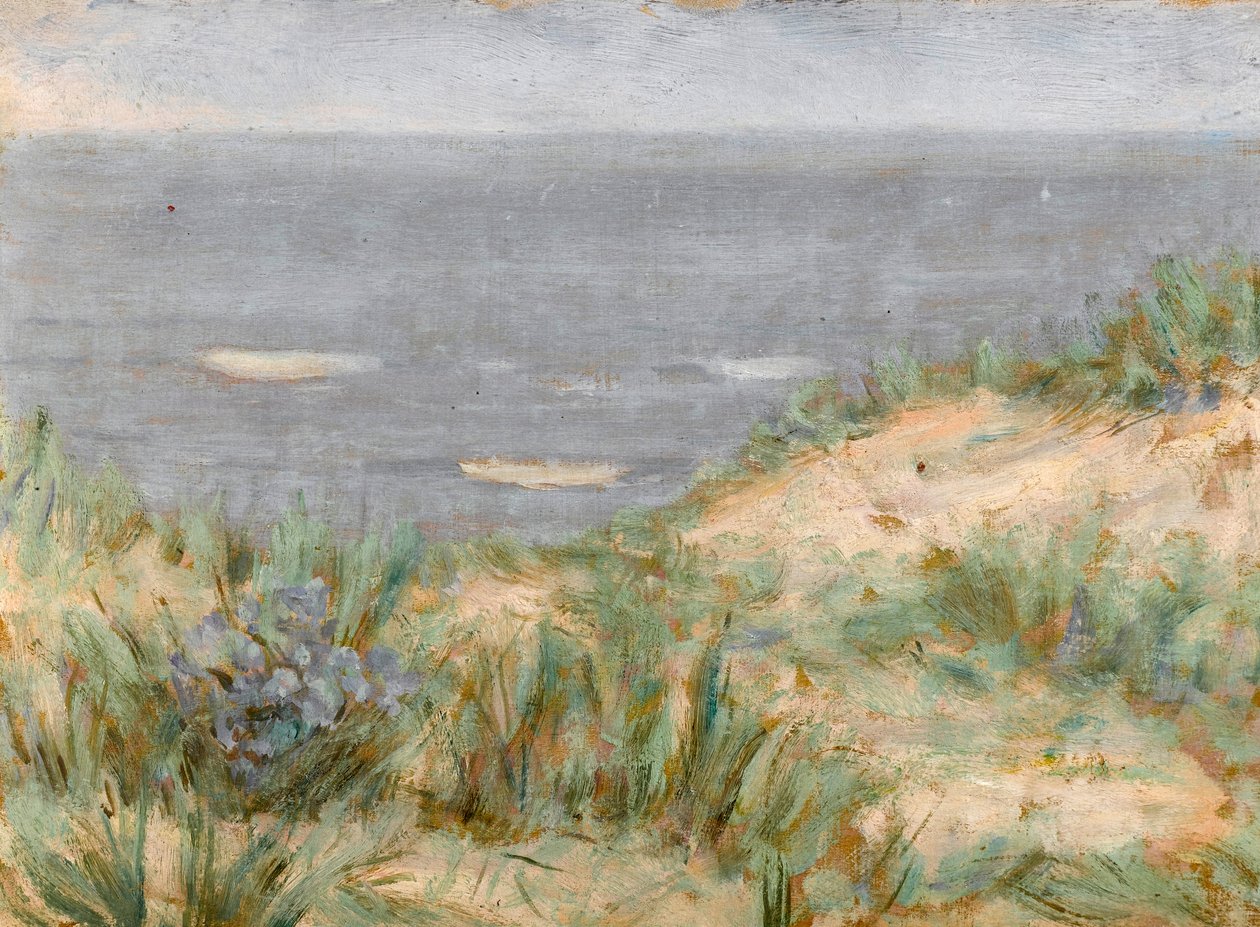Dunes ile deniz manzarası, çiçekli deniz otu, c.1900 by Arthur Haythorne Studd