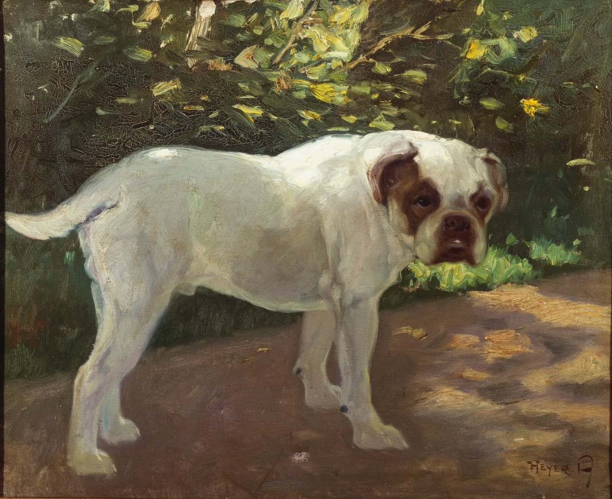 Bahçe Yolunda Bir Bulldog (tuval üzerine yağlı boya) by Arthur Heyer